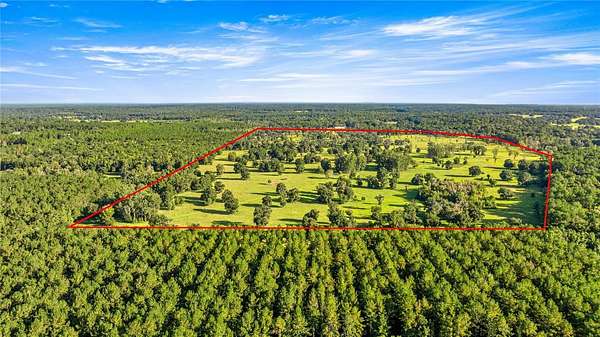 201 Acres of Agricultural Land for Sale in Reddick, Florida
