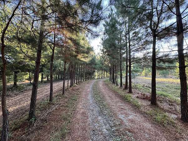 3.54 Acres of Residential Land for Sale in Enola, Arkansas
