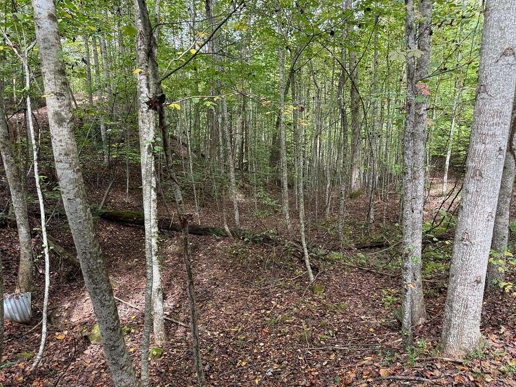 Residential Land for Sale in Murphy, North Carolina