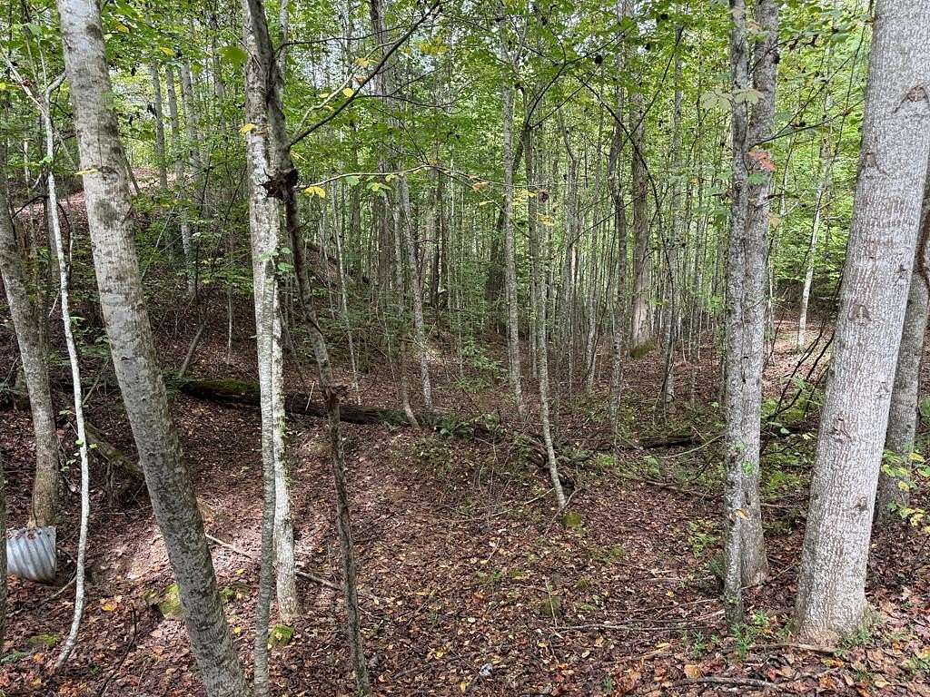 1.84 Acres of Residential Land for Sale in Murphy, North Carolina