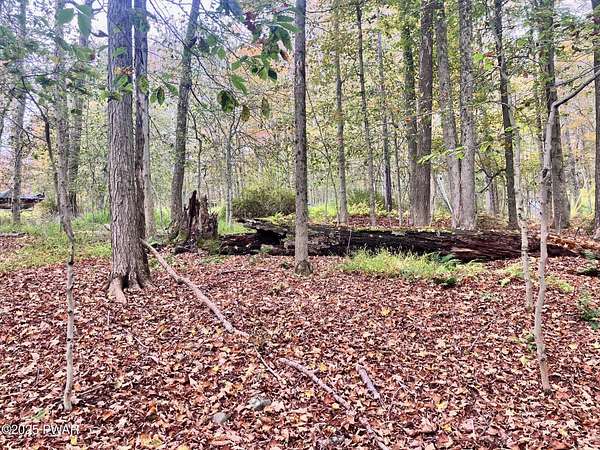 0.54 Acres of Residential Land for Sale in Greentown, Pennsylvania