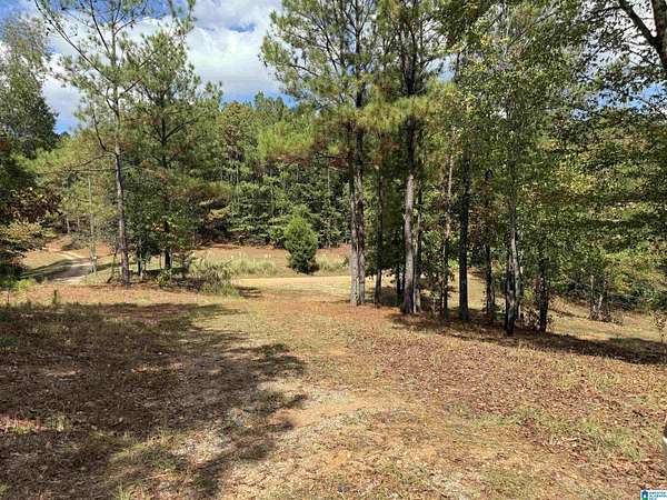 22.8 Acres of Recreational & Residential Land for Sale in Goodwater, Alabama