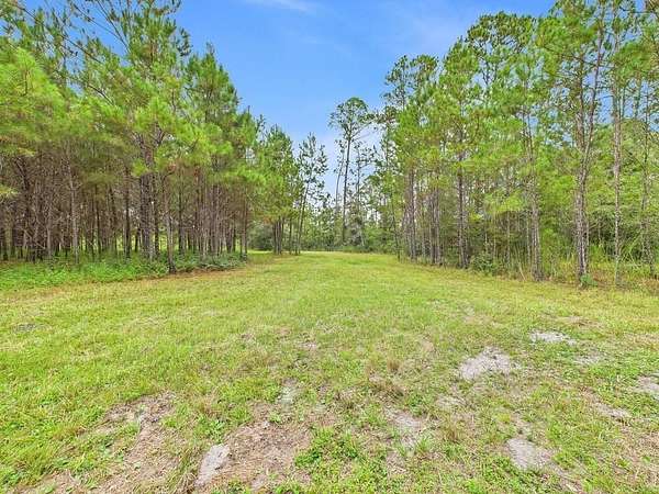 6.87 Acres of Residential Land for Sale in Greenville, Florida