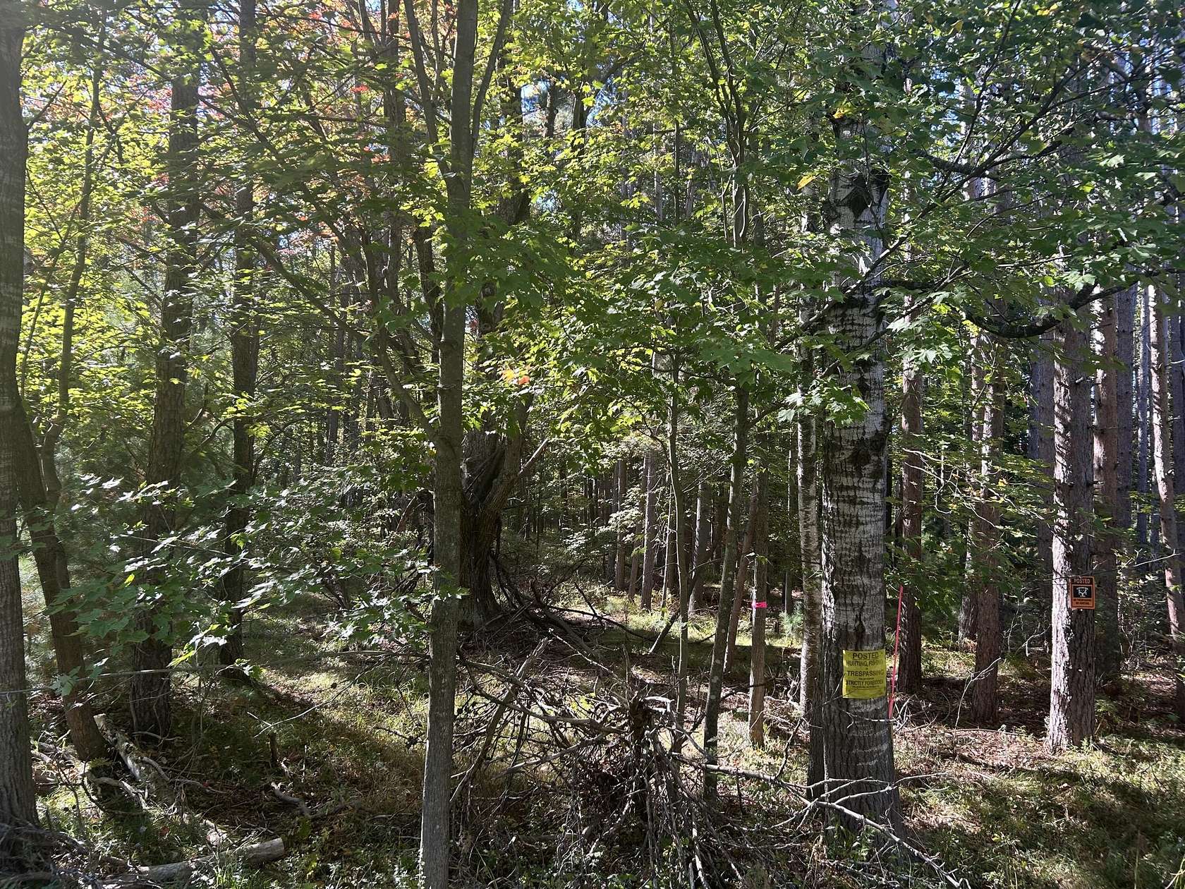 1.45 Acres of Land for Sale in Stanwood, Michigan