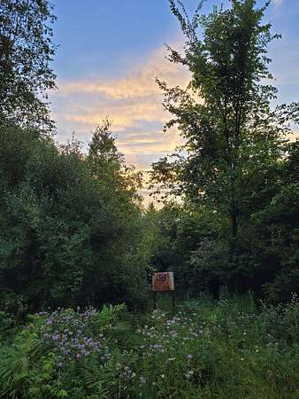 4.2 Acres of Land for Sale in Evart, Michigan