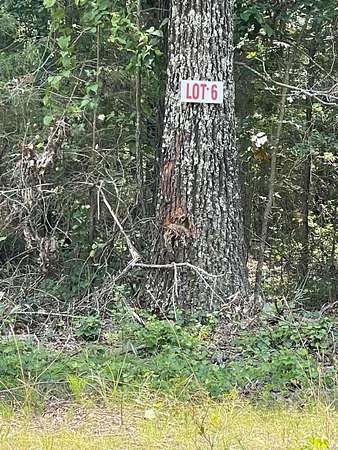 0.6 Acres of Land for Sale in Greers Ferry, Arkansas