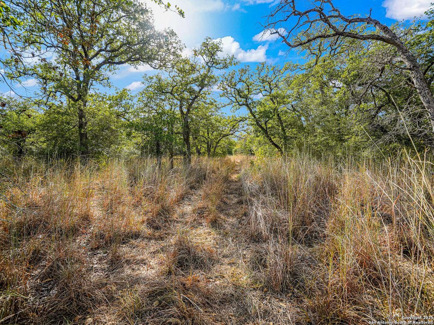 10 Acres of Land for Sale in Seguin, Texas