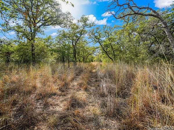 10 Acres of Land for Sale in Seguin, Texas