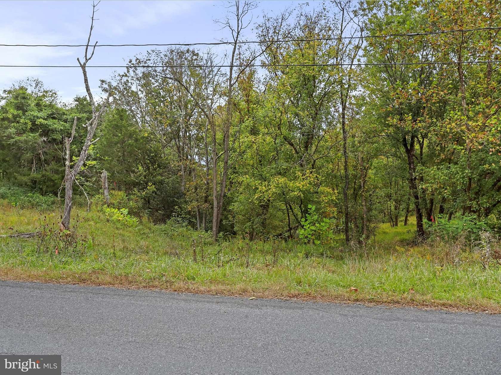 5 Acres of Land for Sale in Strasburg, Virginia