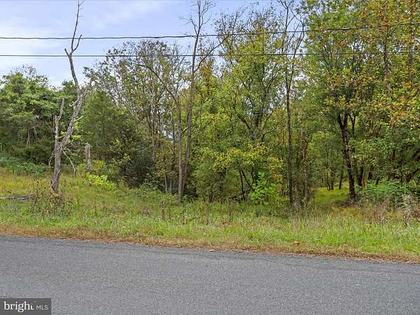 5 Acres of Land for Sale in Strasburg, Virginia