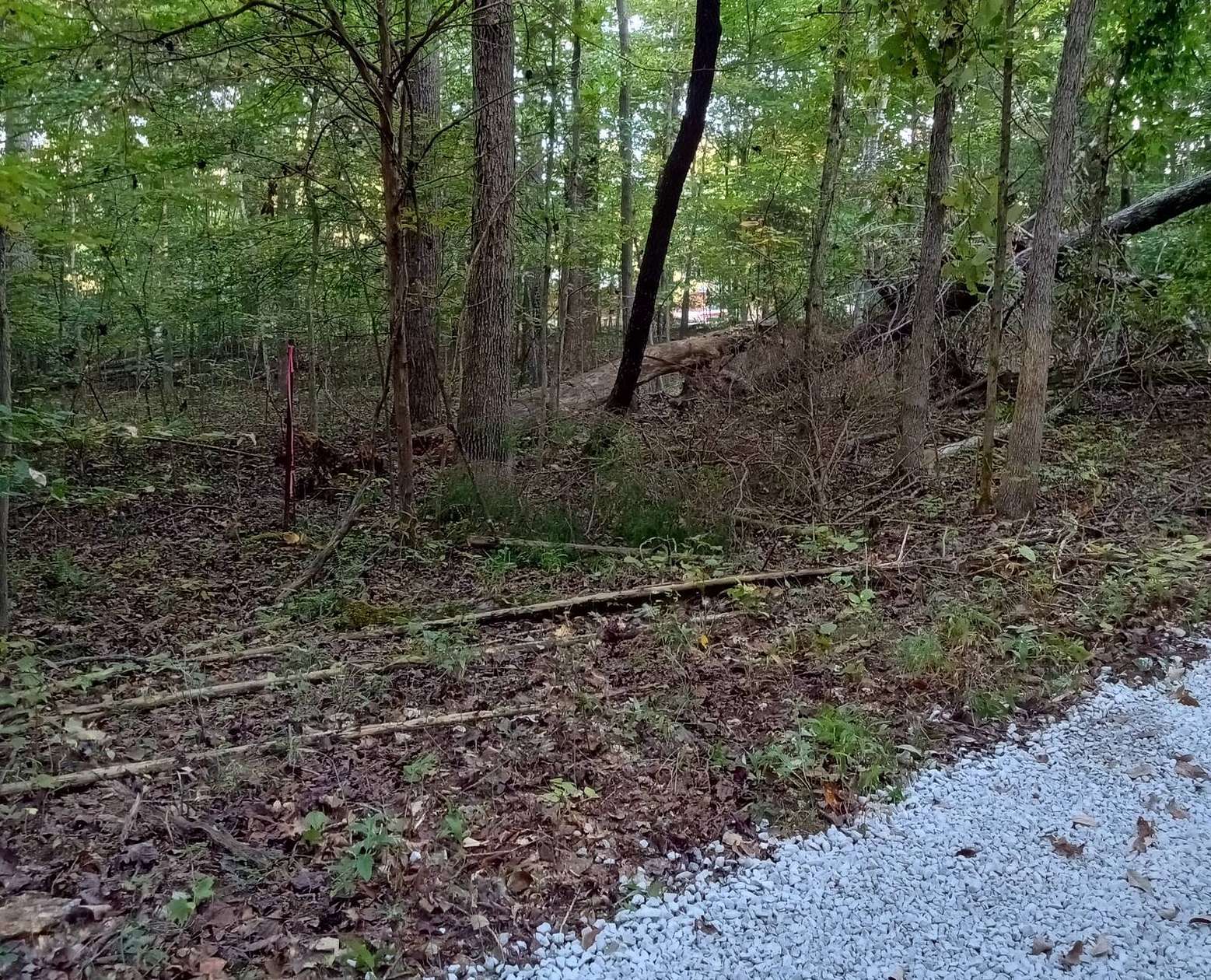 0.17 Acres of Land for Sale in Leitchfield, Kentucky