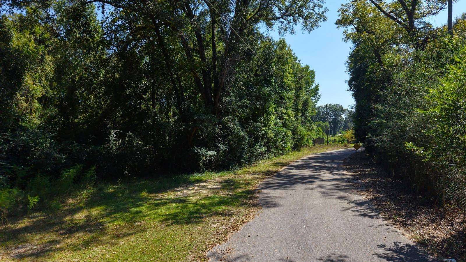 1.6 Acres of Residential Land for Sale in Dozier, Alabama