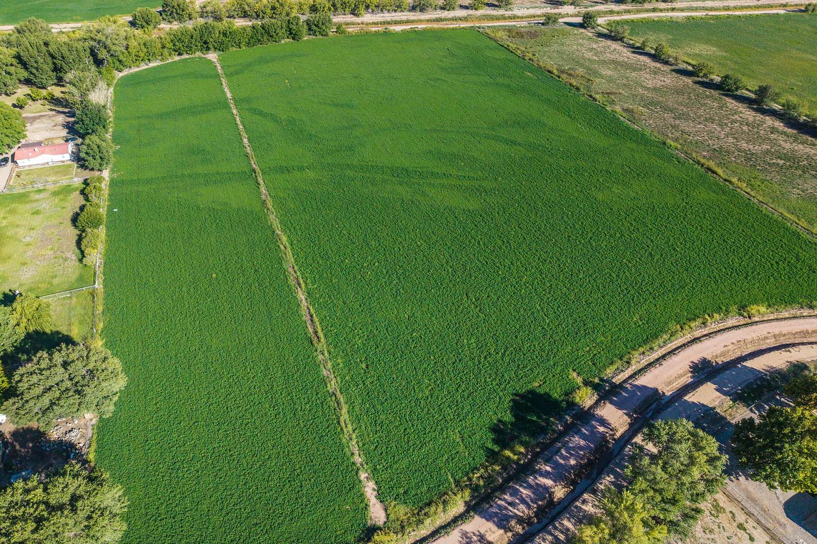 13.6 Acres of Agricultural Land for Sale in Tome, New Mexico