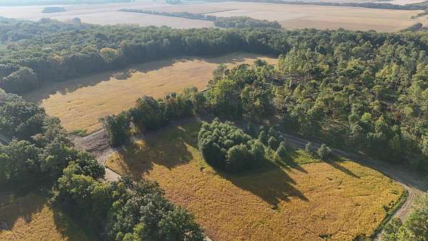 29 Acres of Recreational Land for Sale in Williamsport, Indiana