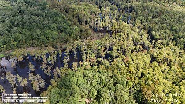 45 Acres of Recreational Land for Sale in Colfax, Louisiana