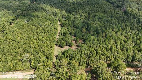 45 Acres of Recreational & Residential Land for Sale in Colfax, Louisiana