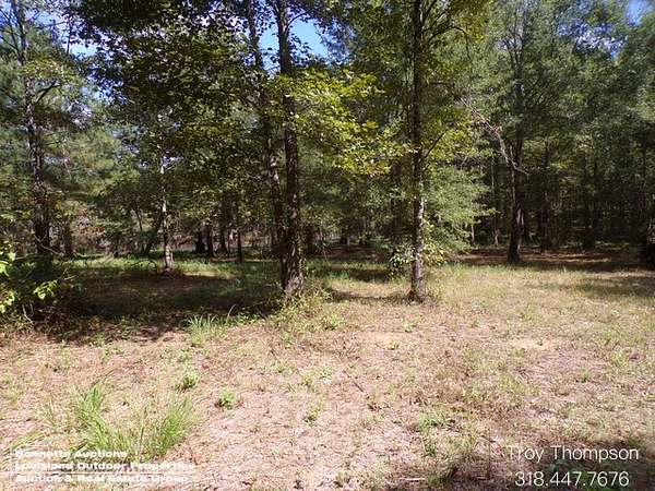 45 Acres of Recreational & Residential Land for Sale in Colfax, Louisiana