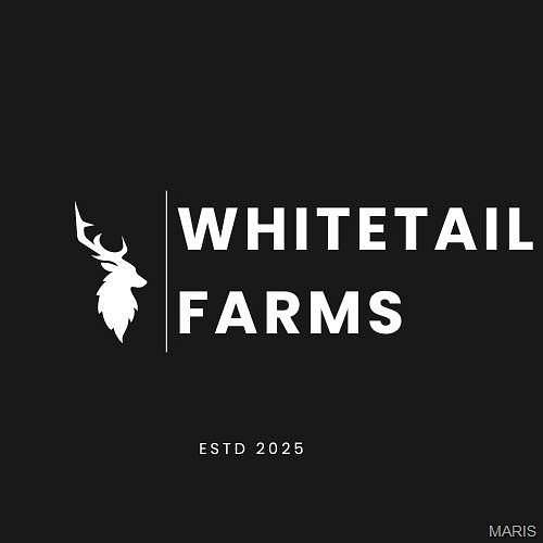 3 Acres of Residential Land for Sale in Wentzville, Missouri