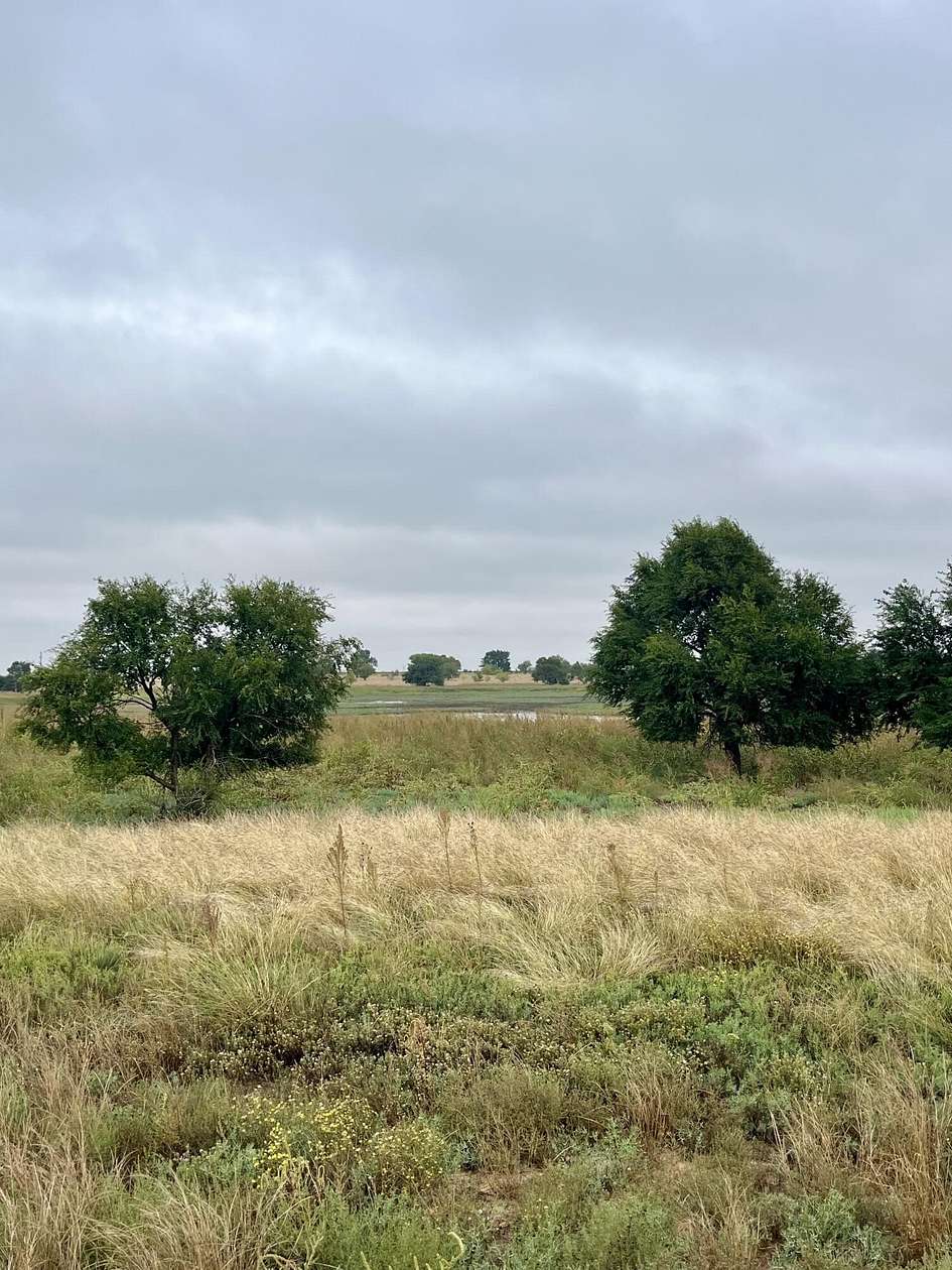 40 Acres of Recreational Land for Sale in Anton, Texas