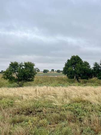 40 Acres of Recreational Land for Sale in Anton, Texas
