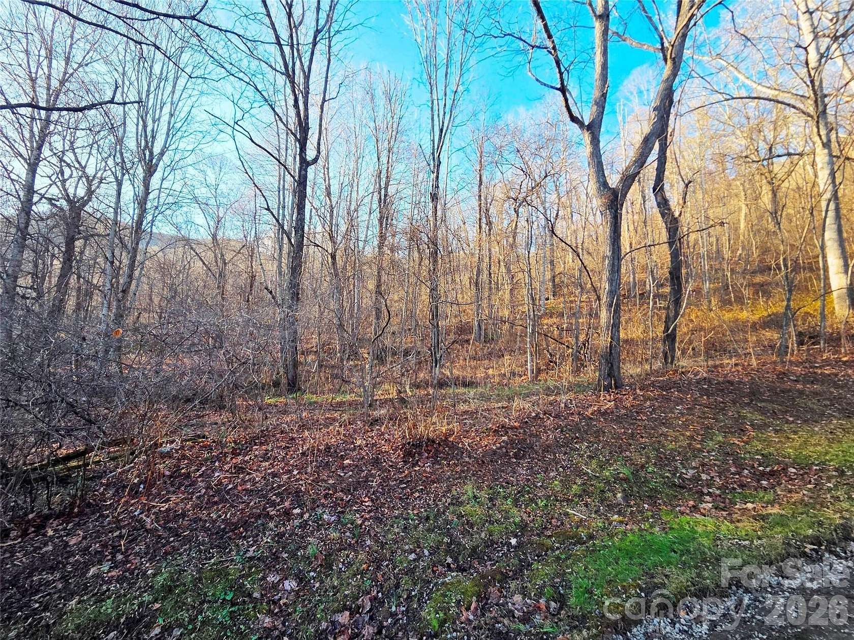 1.42 Acres of Residential Land for Sale in Waynesville, North Carolina