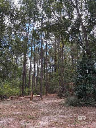 2.38 Acres of Residential Land for Sale in Foley, Alabama