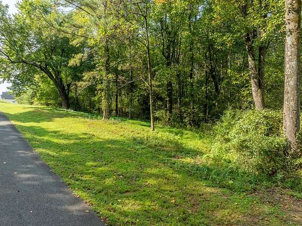 1.5 Acres of Residential Land for Sale in Ellijay, Georgia