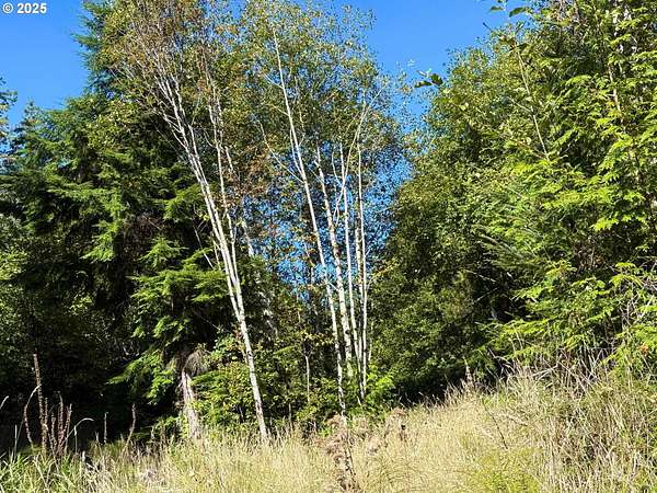 2.39 Acres of Residential Land for Sale in Cloverdale, Oregon