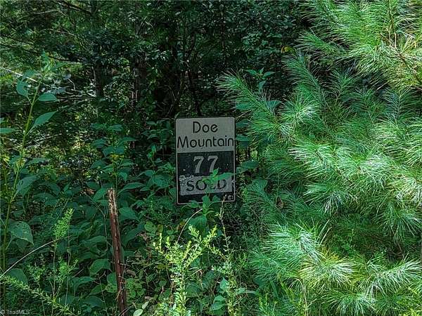 3 Acres of Residential Land for Sale in McGrady, North Carolina