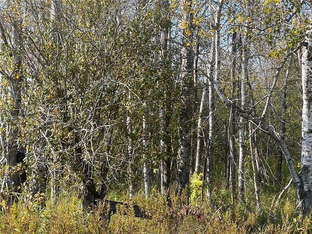 26.1 Acres of Recreational Land for Sale in Mission Creek Township, Minnesota