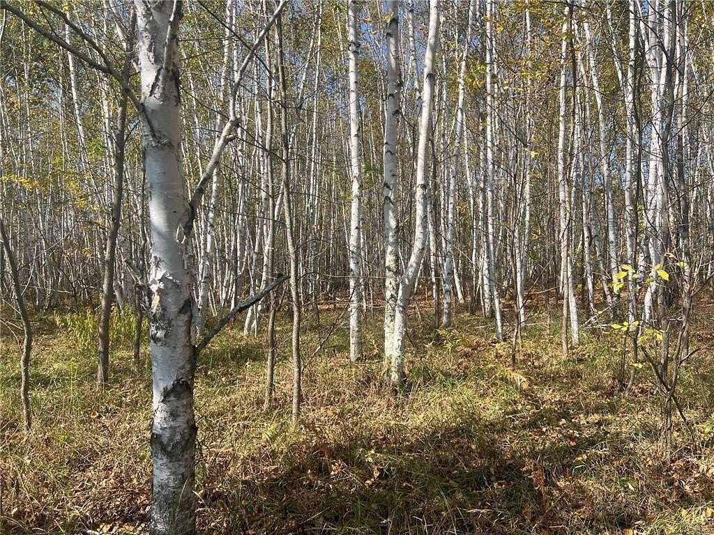 26.1 Acres of Recreational Land for Sale in Mission Creek Township, Minnesota