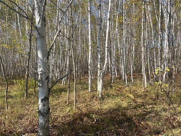 26.1 Acres of Recreational Land for Sale in Mission Creek Township, Minnesota