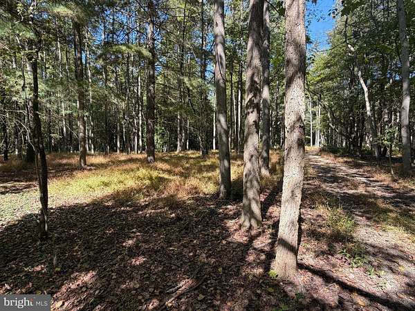 34.1 Acres of Land for Sale in Pittsgrove Township, New Jersey