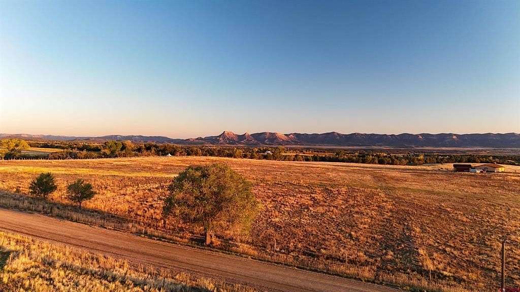 10.5 Acres of Land for Sale in Dolores, Colorado