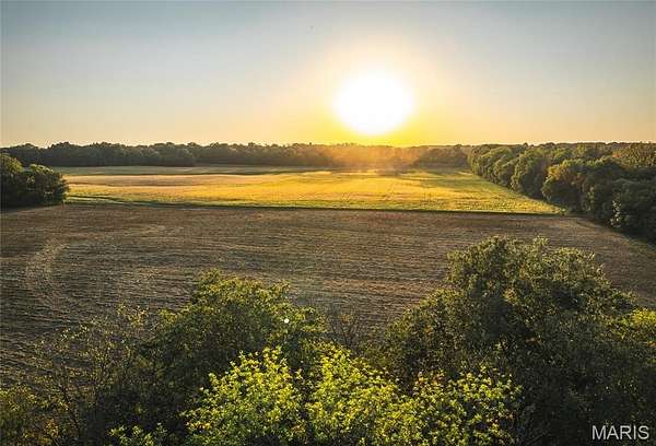 58.5 Acres of Recreational Land & Farm for Auction in Chesterfield, Illinois