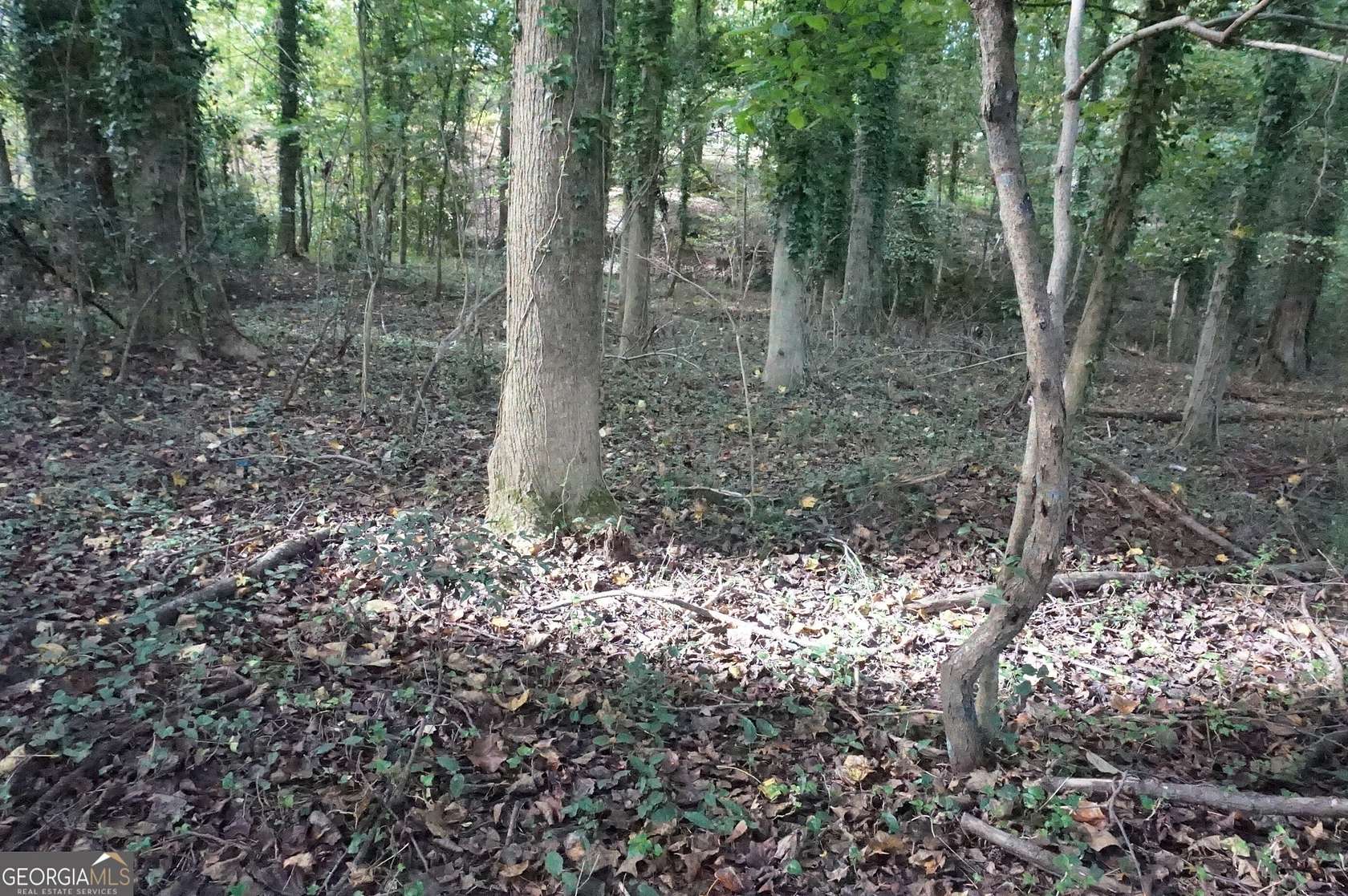 0.34 Acres of Residential Land for Sale in Royston, Georgia