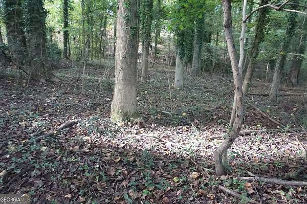 0.34 Acres of Residential Land for Sale in Royston, Georgia