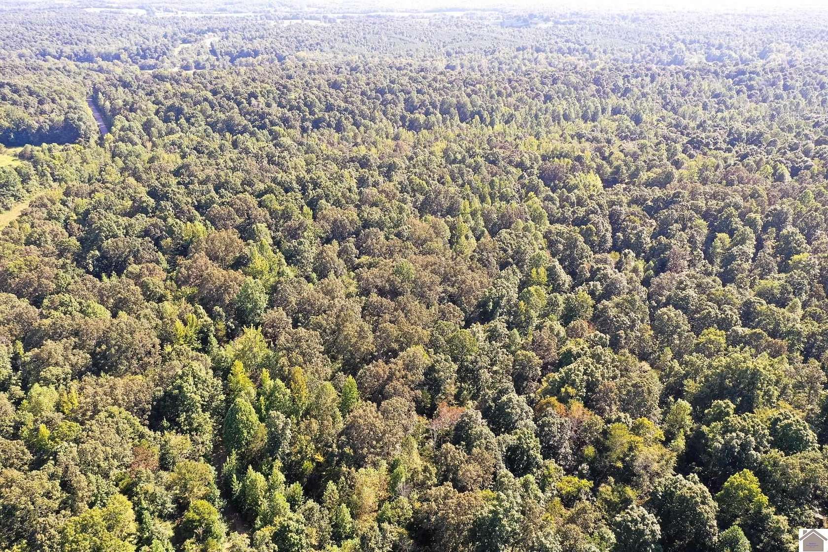 87 Acres of Recreational Land for Sale in Marion, Kentucky