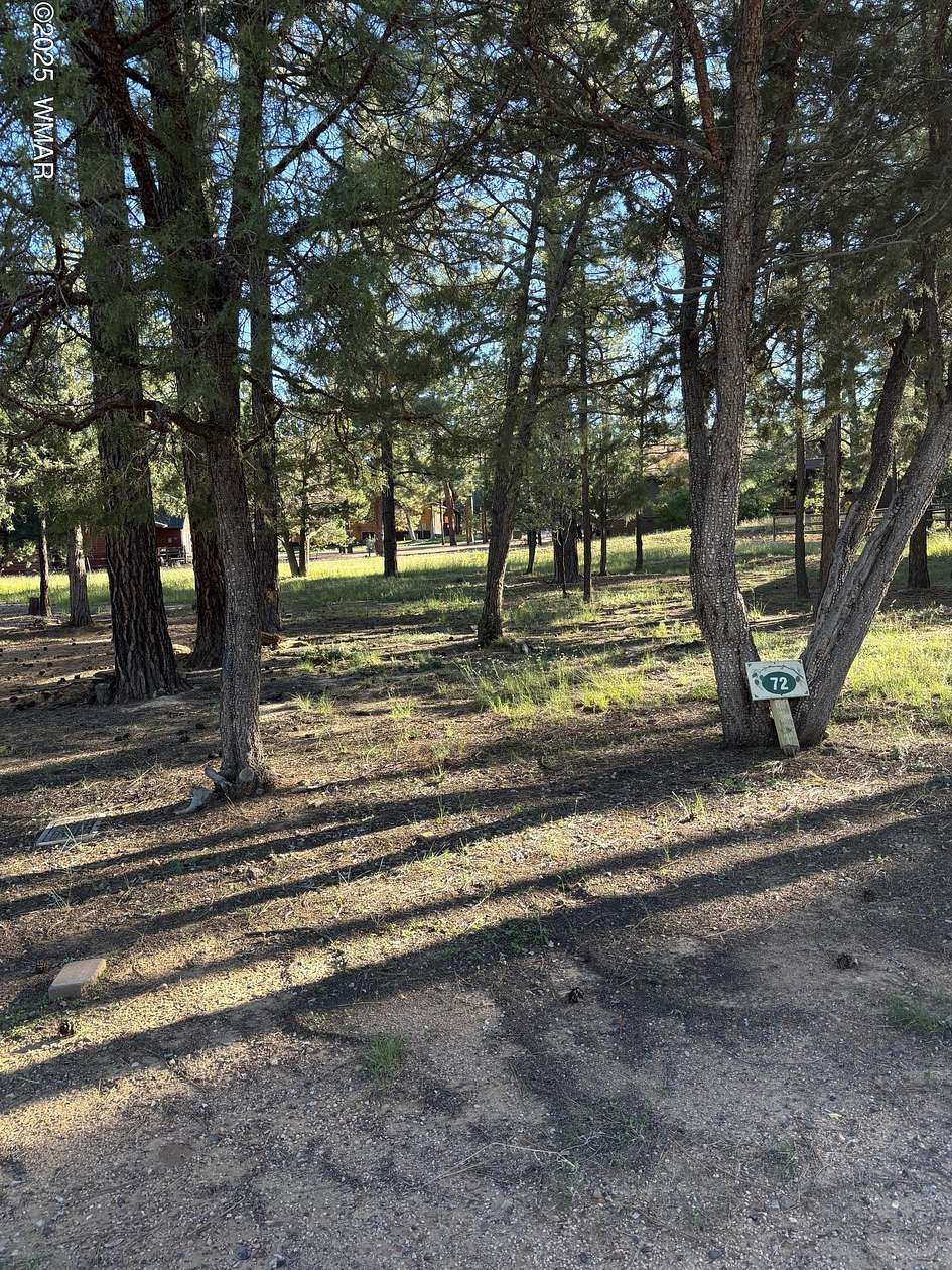 0.27 Acres of Residential Land for Sale in Lakeside, Arizona
