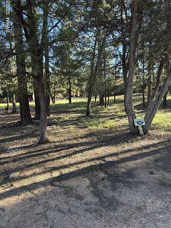 0.27 Acres of Residential Land for Sale in Lakeside, Arizona