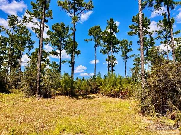6 Acres of Residential Land for Sale in Molino, Florida