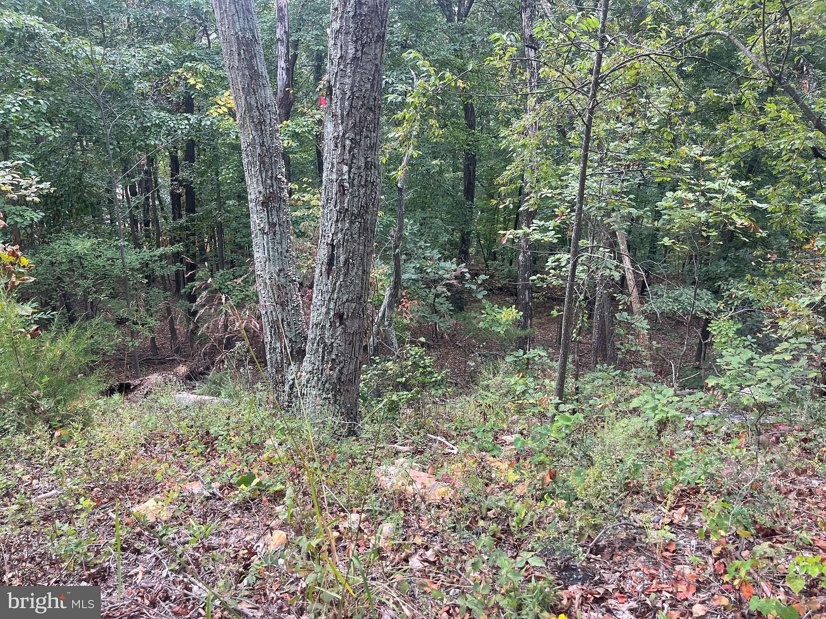 3.36 Acres of Residential Land for Sale in Stanley, Virginia
