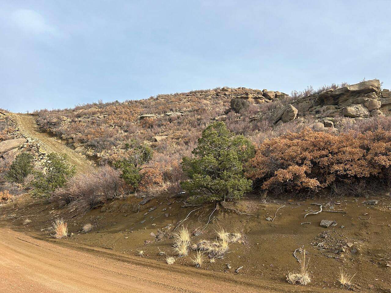 40 Acres of Land for Sale in Weston, Colorado