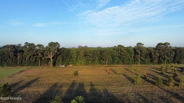 3 Acres of Residential Land for Sale in Basile, Louisiana