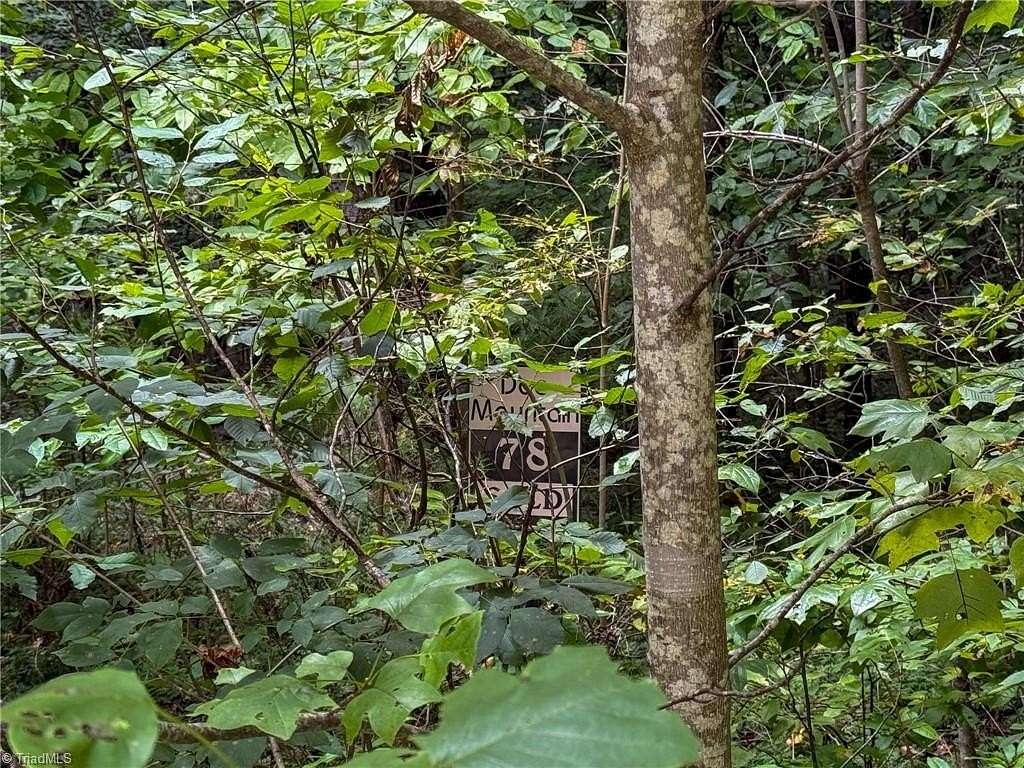 3 Acres of Residential Land for Sale in McGrady, North Carolina