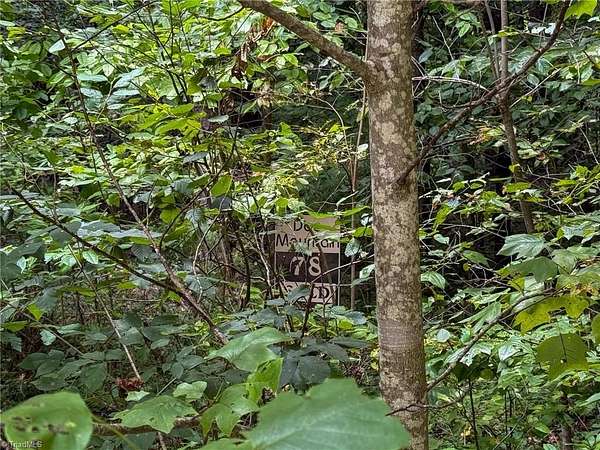 3 Acres of Residential Land for Sale in McGrady, North Carolina