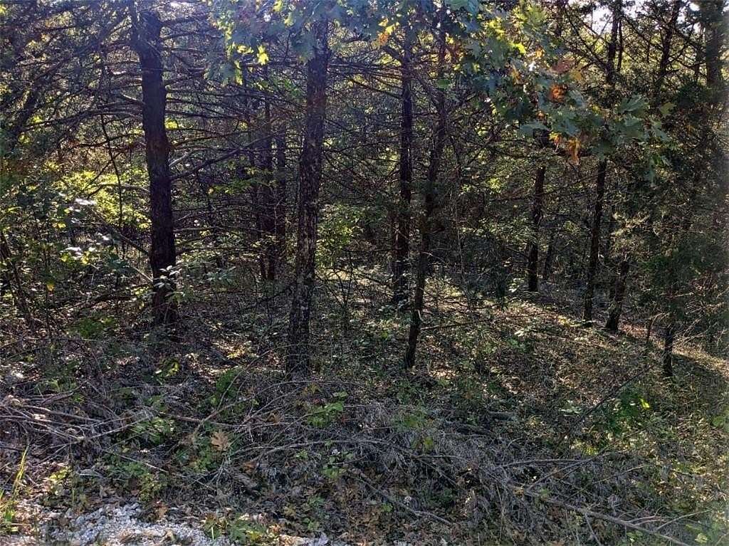 1 Acre of Residential Land for Sale in Holiday Island, Arkansas