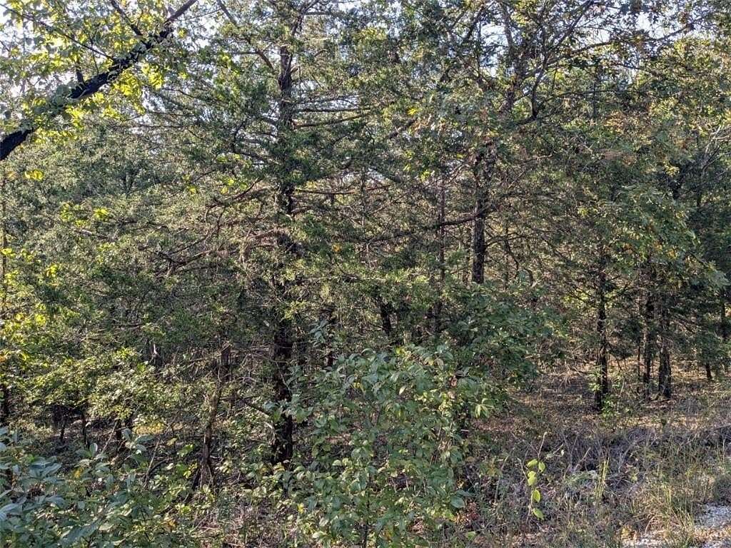 1 Acre of Residential Land for Sale in Holiday Island, Arkansas