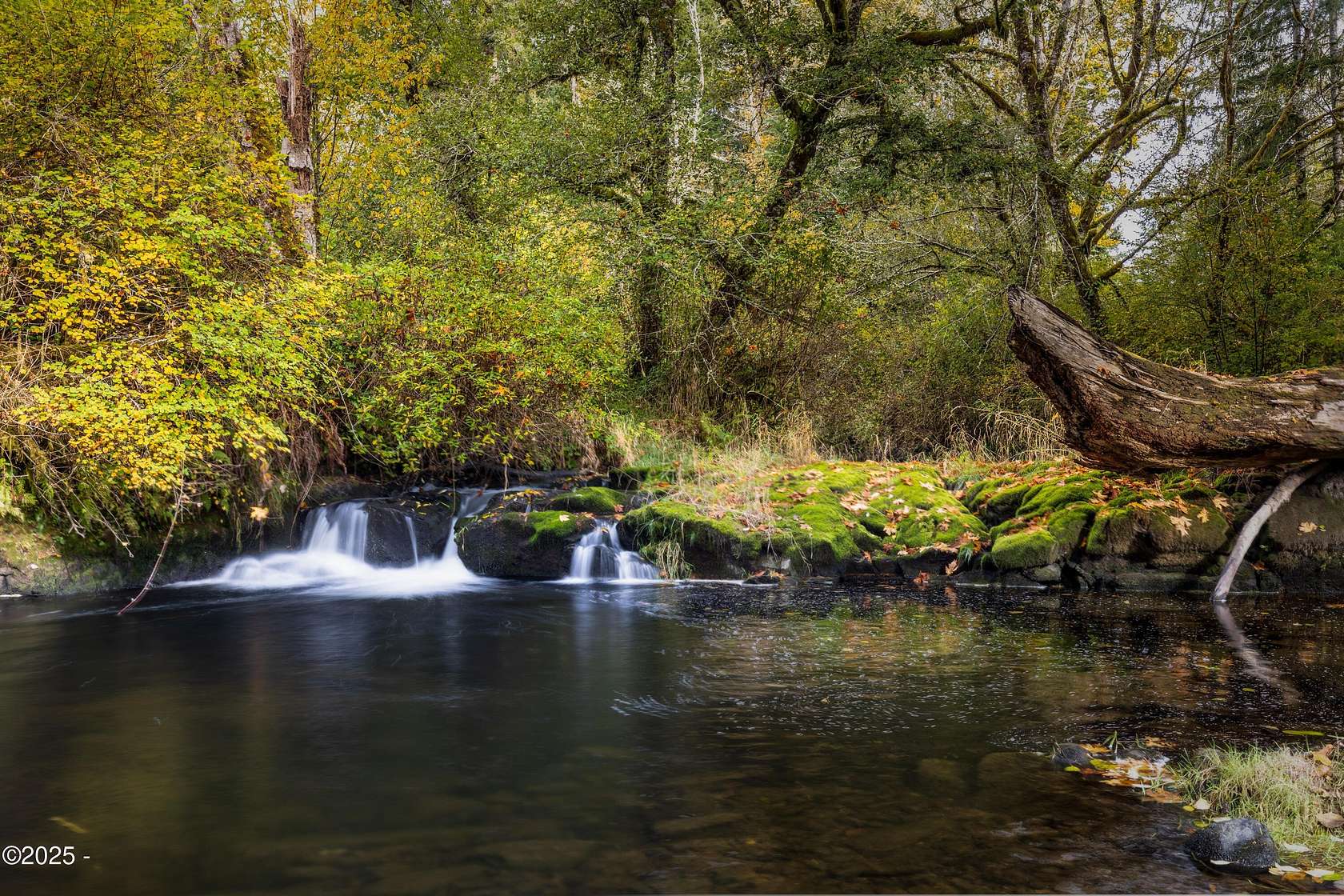 2.22 Acres of Residential Land with Home for Sale in Logsden, Oregon