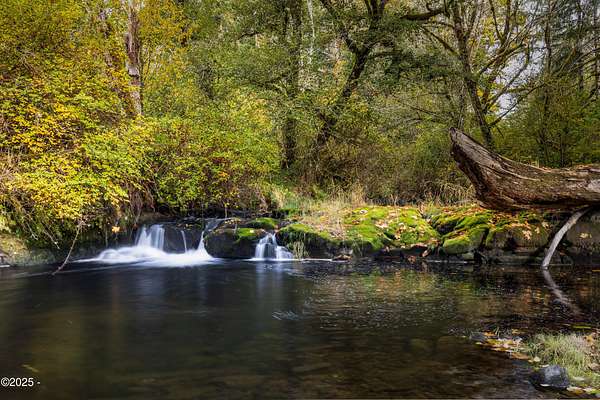 2.22 Acres of Residential Land with Home for Sale in Logsden, Oregon